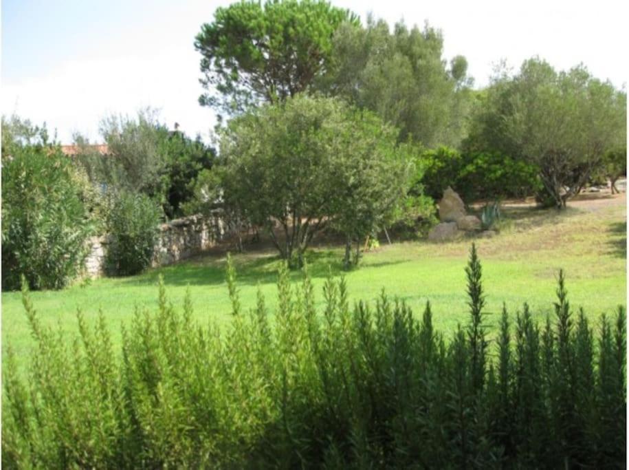 Villa Sara Ольбия Экстерьер фото